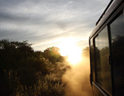 Sonnenaufgang auf Safarie